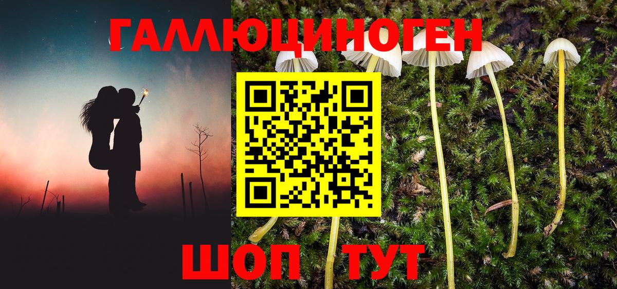 Псилоцибиновые грибы MAGIC MUSHROOMS Клинцы